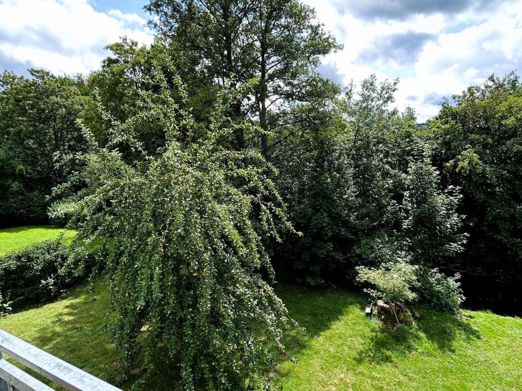 Ferienwohnung Sauerland An Der Ruhr Olsberg Kültér fotó