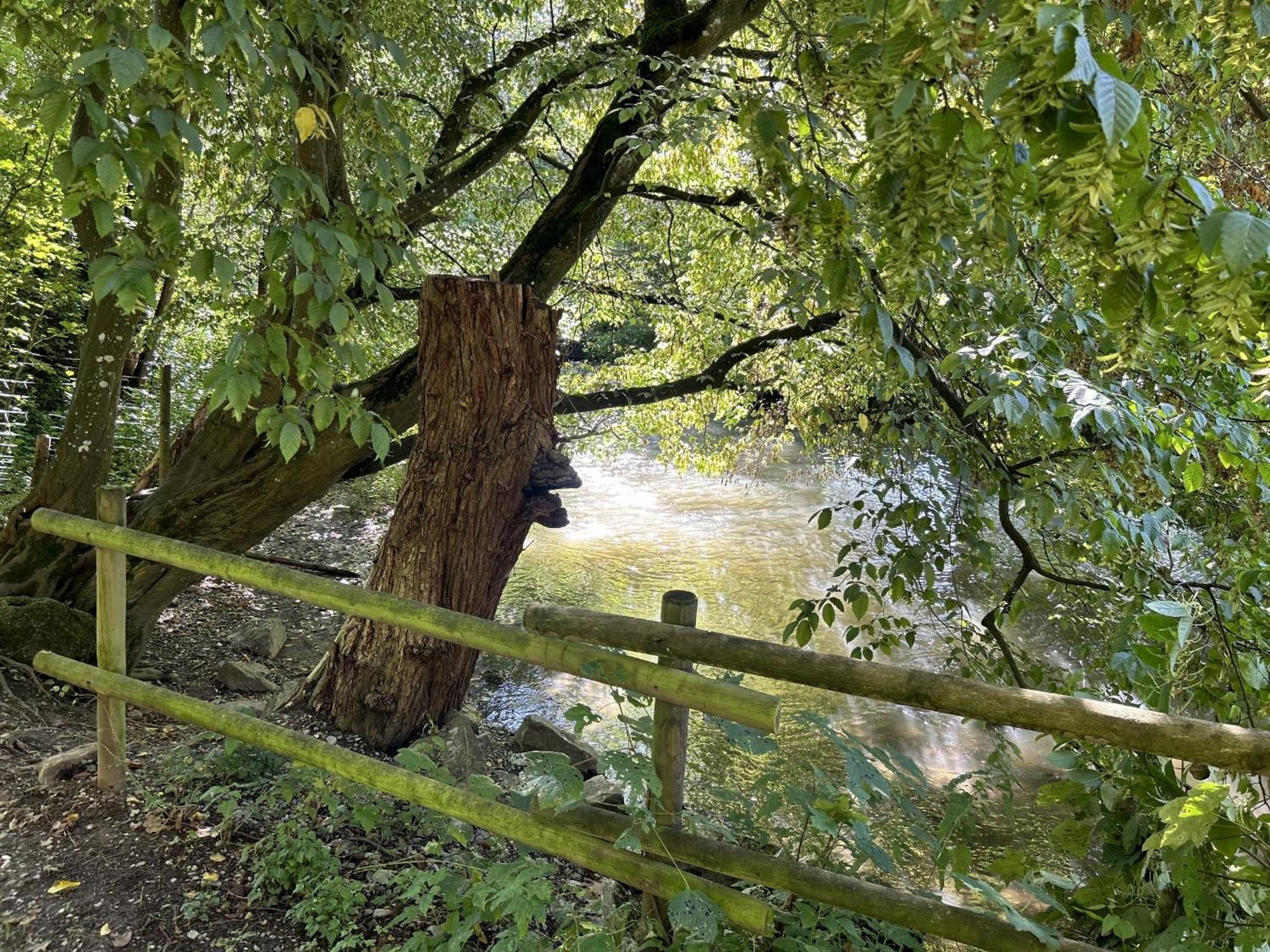 Ferienwohnung Sauerland An Der Ruhr Olsberg Kültér fotó