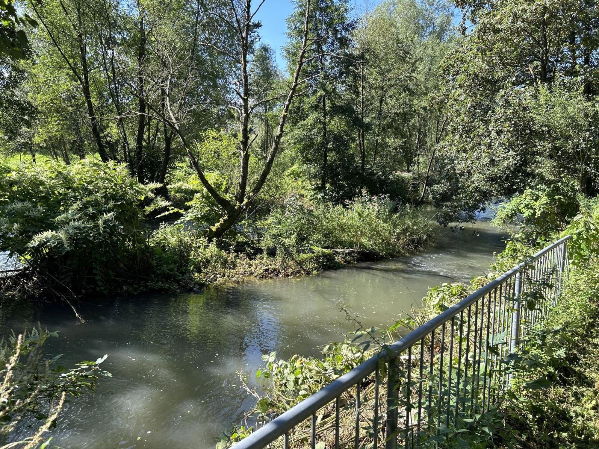 Ferienwohnung Sauerland An Der Ruhr Olsberg Kültér fotó